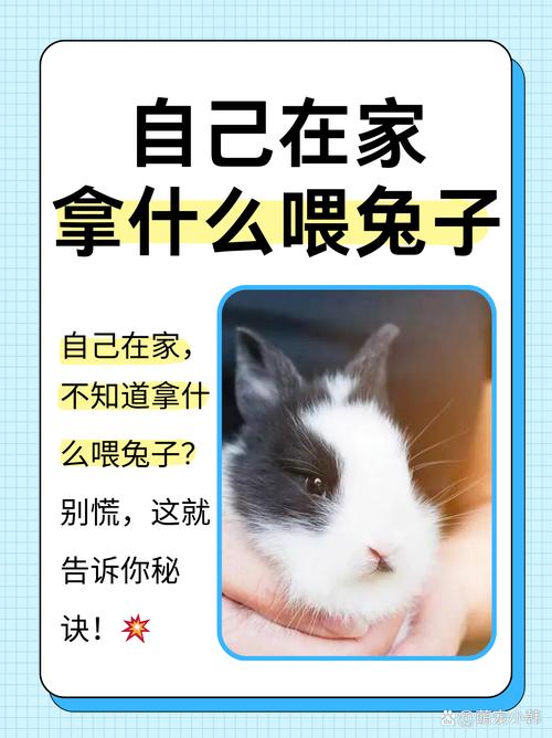如何让我的兔子和豚鼠安心地待在家里