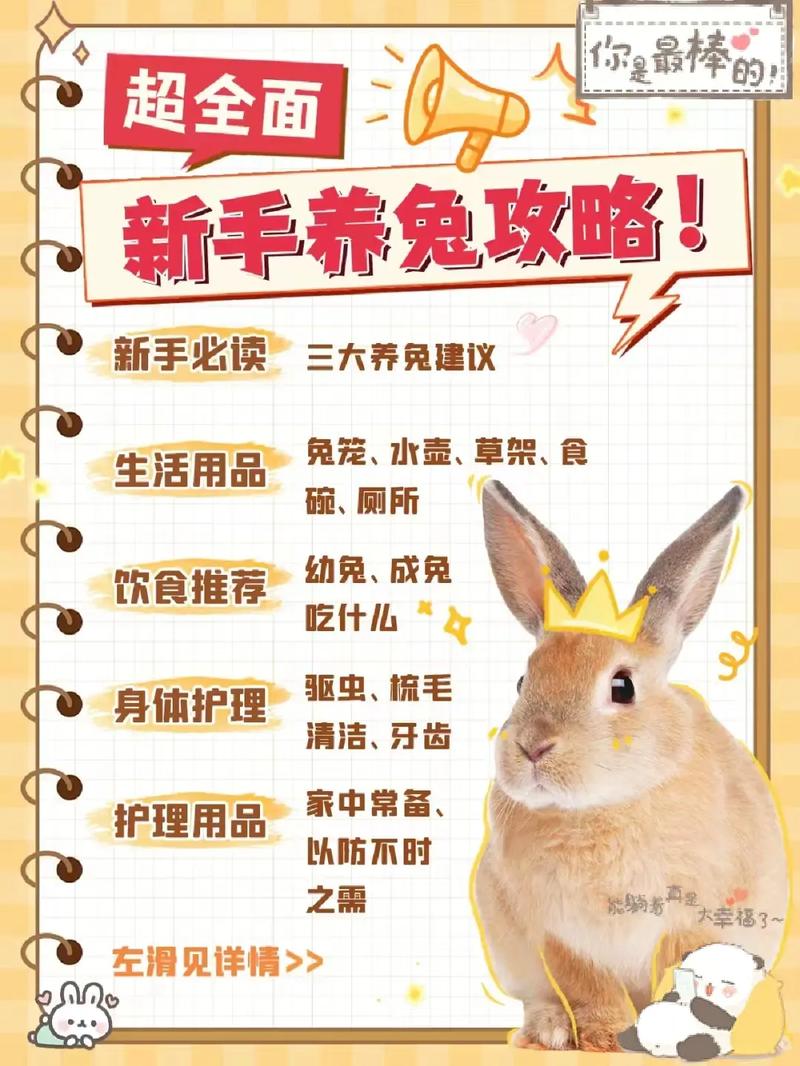 大熊猫兔的饲养方法及注意事项