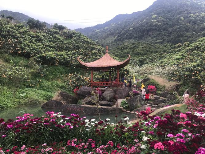 从化有哪些旅游景点？从化有什么好玩的？(图1)