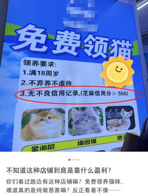 宠物领养、招募、寻找宠物、给他家领养通知20220718(图1)