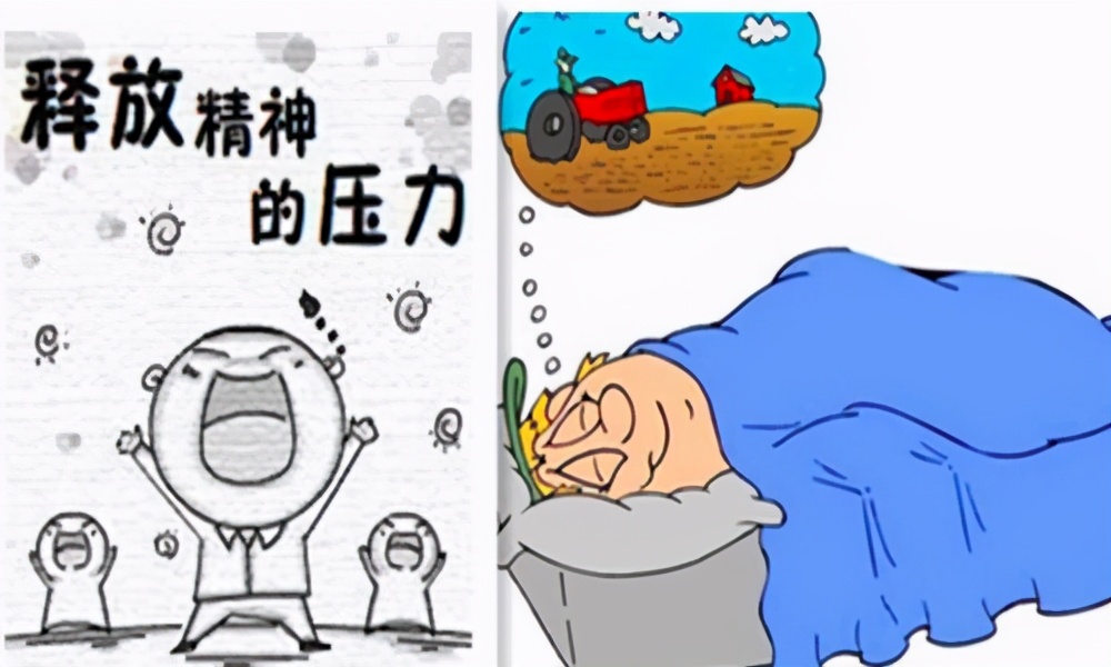 为什么我们睡觉的时候，大脑会出现各种梦？做梦有什么意义？(图3)