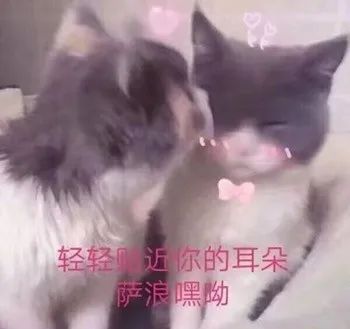 和空姐直播的日子(图1) 和空姐直播的日子(图1)