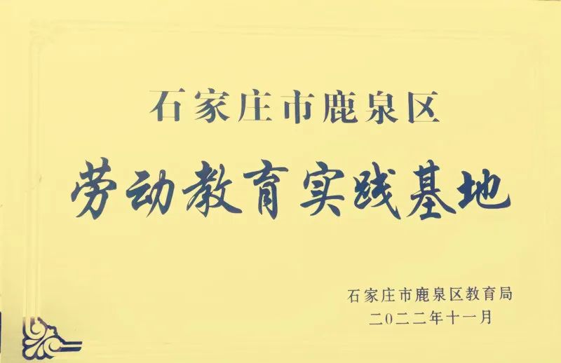 总结工作谋新篇  积极探索新路径——河北传和教育2024年工作总结(图9)