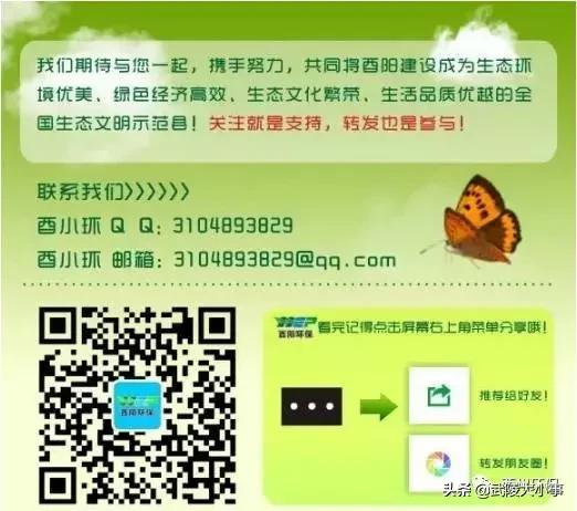 “云参观”——带你见证污水处理厂如何将污水变清水的过程​(图12)