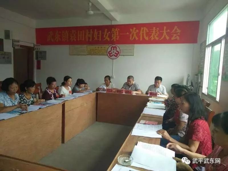 武东镇全面完成妇代会改建妇联工作(图16)