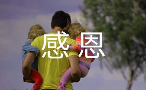 优秀员工感恩企业心得体会(图1)