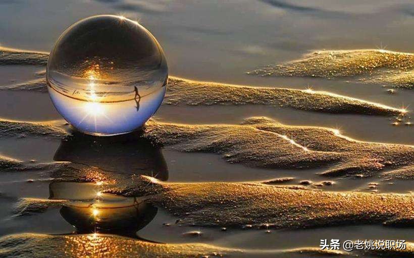 工作没有累垮我，但自己打垮了自己，警惕职场的“野马效应”(图11)