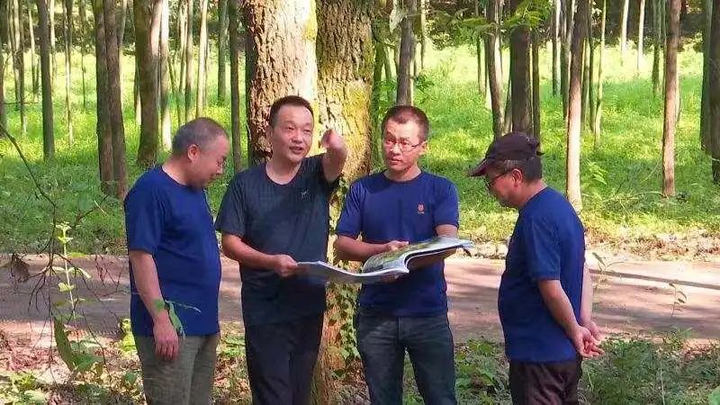 主流媒体看宣城•视听周报(图44)