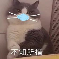加拿大留学多年,居然过不了英文面试…(图3) 加拿大留学多年,居然过不了英文面试…(图3)