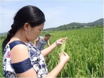 “致青春 颂劳动”之“五星好职工”“五星好青年”网络评选活动火热进行中~~~(图6)