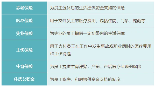 【资讯分享】大学生毕业求职全攻略！一篇就够了！(图1)
