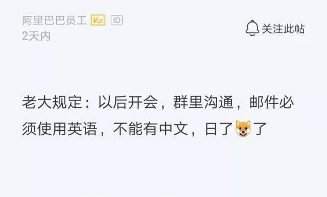 太难了！大公司对留学生的英语要求到底有多高？(图1)