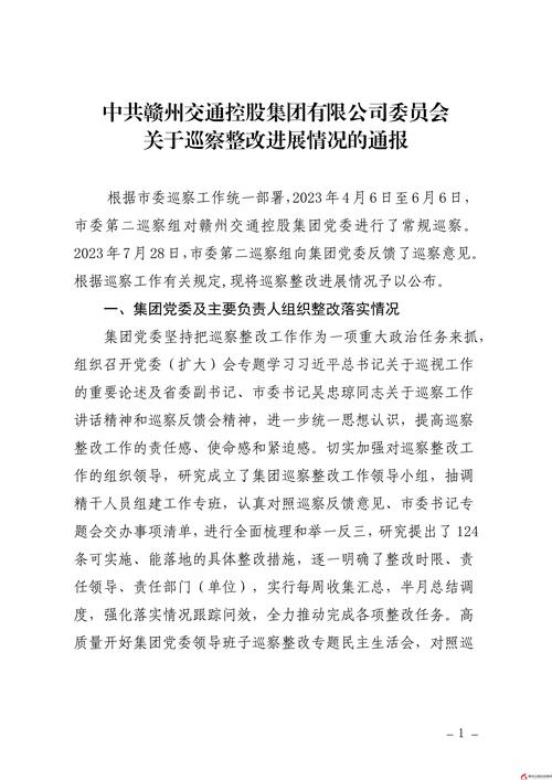连城县第二中学关于巡察整改进展情况的通报